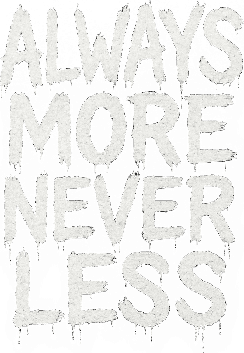 Always More Never Less print detail